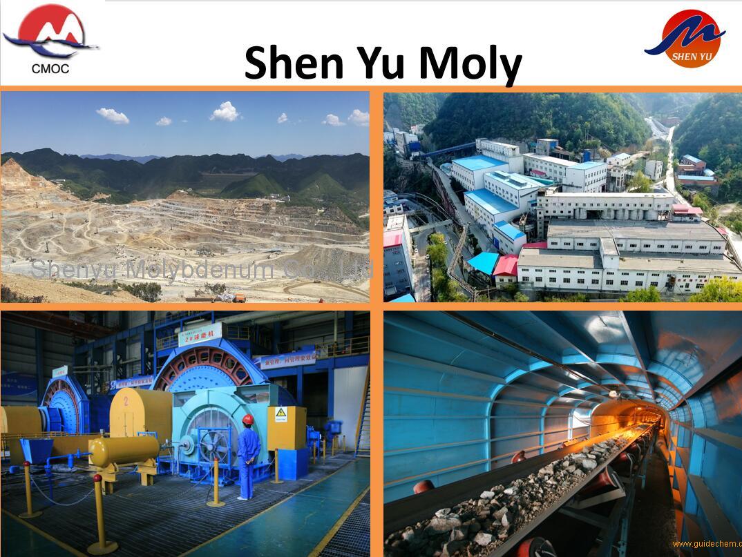 Shenyu Molybdenum Co., Ltd