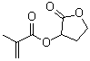 2-oxo-tetrahydro-furan-3-yl methacrylate