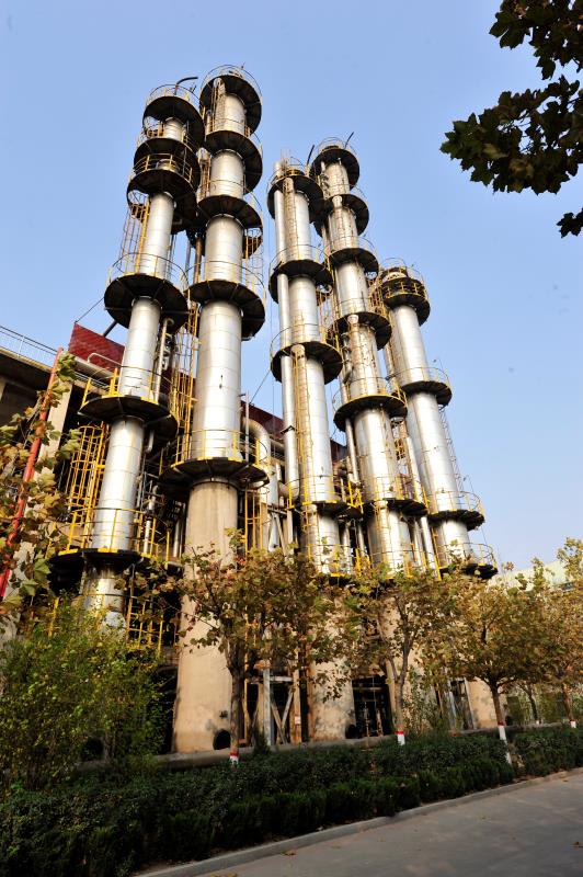 Binzhou Zhongyu Food Co., Ltd.