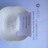 Top quality CAS 1314-23-4 Zirconium dioxide with best price