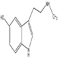 Nω-methyl-5-hydroxytryptamine 1134-01-6
