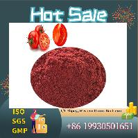 Professional Manufacturer Supply Pure Natural Tomato Extract Powder lycopene Powder 5% 10% 20%