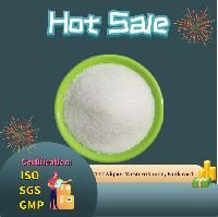 High Absorbent Resin Water Absorbent Copolymer 9003-04-7 SAP Sodium Polyacrylate