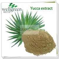 Yucca extract Sarsaponin  