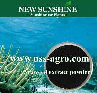 100% Full Water Soluble Fertilizer Seaweed Extract  