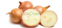 Onion  
