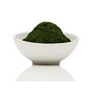 High quality and low price Spirulina  