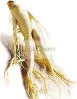 Ginseng Extract  