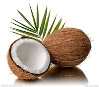 natural Coconut extract  