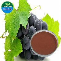 2017 Manufacturer Pure Natural High Quality Grape Seed Extract, Proanthocyanidins 95%~98%, Polyphenols 70%~95%  