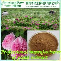 Rose flavones Rose extract  