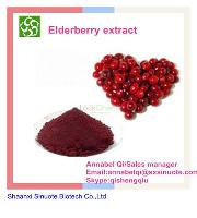 Factory Supply 100% High Quality Plant Extract Natural Elderberry  
