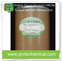 Pharma grade Sodium Starch Glycolate wholesale as drug carrier  