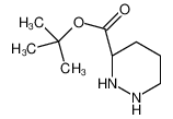 tert-butyl (3S)-diazinane-3-carboxylate