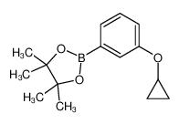 2-(3-cyclopropyloxyphenyl)-4,4,5,5-tetramethyl-1,3,2-dioxaborolane