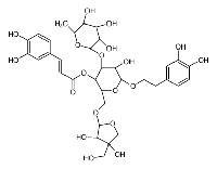 2-(((3,4-dihydroxy-4-(hydroxymethyl)tetrahydrofuran-2-yl)oxy)methyl)-6-(3,4-dihydroxyphenethoxy)-5-hydroxy-4-((3,4,5-trihydroxy-6-methyltetrahydro-2H-pyran-2-yl)oxy)tetrahydro-2H-pyran-3-yl (E)-3-(3,4-dihydroxyphenyl)acrylate
