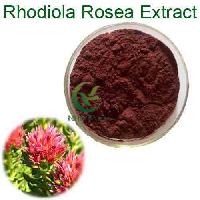 Manufacturer supply Top Quality Rhodiola Rosea Extract 1.0%-3.0% Salidroside