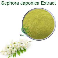 Natural Scphora Japonica L Extract Luteolin 98% in Bulk For Anti-cancer