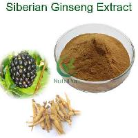 Siberian Ginseng Extract,Eleutherococcus Senticosus Extract, Eleutherosides 0.8%