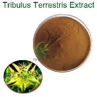 bulk 90% saponins 40% protodioscin tribulus terrestris p.e. extract powder tribulus terrestris