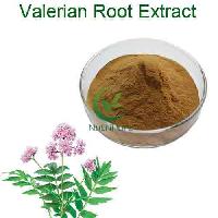 top quality 0.3%~0.8% Valeric Acid Valeriana Officinalis Root Extract Powder /Valerian Root Extract