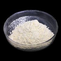CAS: 8049-47-6 Food Grade Additives Powder Pancreatic Enzyme