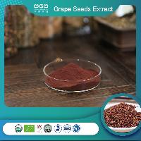 High Quality Grape Seed Extract Polyphenols Proanthocyanidin