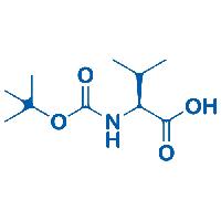 L-Valine,N-[(1,1-dimethylethoxy)carbonyl]-