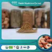 Ganoderma Lucidum Reishi Mushroom Extract Polysaccharides 10%-40%