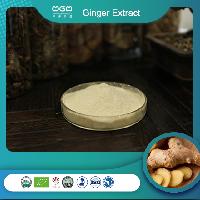 Natural Ginger Extract CAS NO.84696-15-1 Plant Extract
