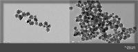 Fe3O4 Magnetic nanoparticles