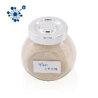 Medical Grade Serrapeptase Enzyme Manufacturer