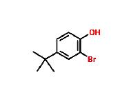 4-(tert-butyl)-2-bromophenol