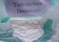 high quality Testosterone decanoate99%