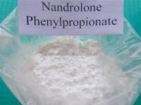99% High Pure Nandrolone Phenylpropionate Raw Steroid Powder