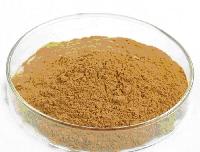 High Quality White Willow Bark Extract 98% Salicin Powder